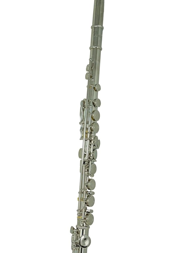 Hisonic Signature Series 2810N Closed 16-Hole Flute with Hardshell Case - Image 4